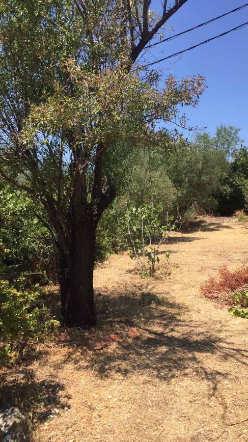 크라니 Αγρόκτημα Χελωναριά - Agroktima Chelonaria 호스텔 외부 사진